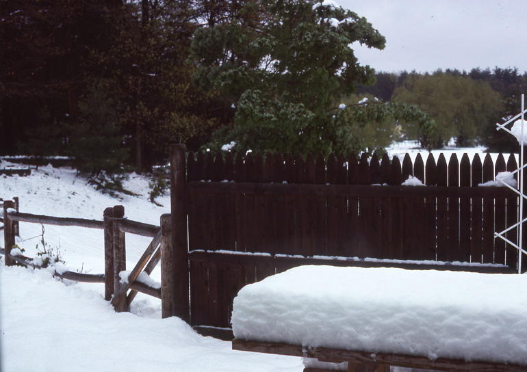 Surprise snow storm on May 10, 1977