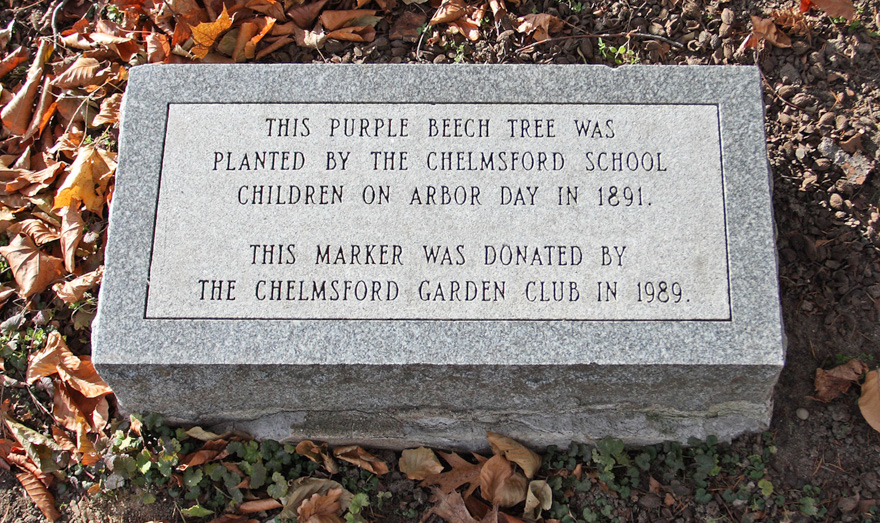 1989.jpg